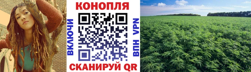 Бошки Шишки OG Kush дарнет шоп Пыталово
